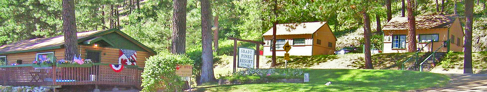 Shady Pines Resort