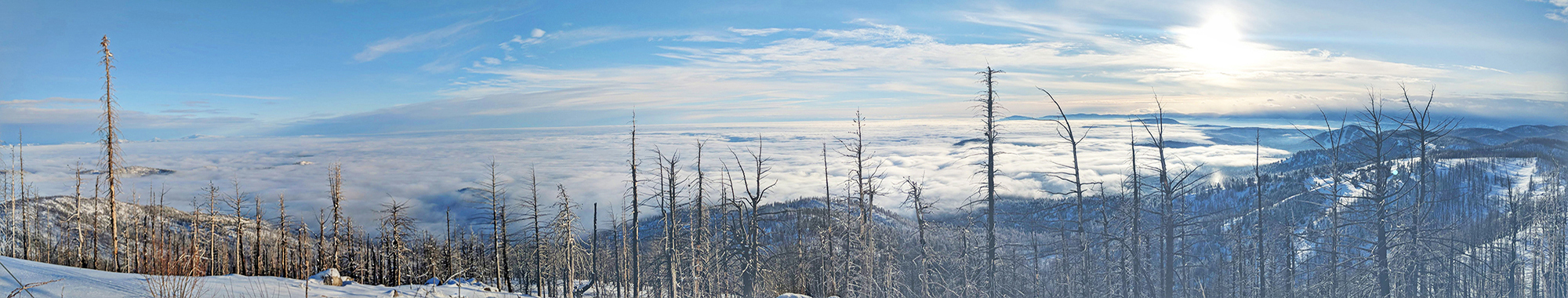 Winter Panorama
